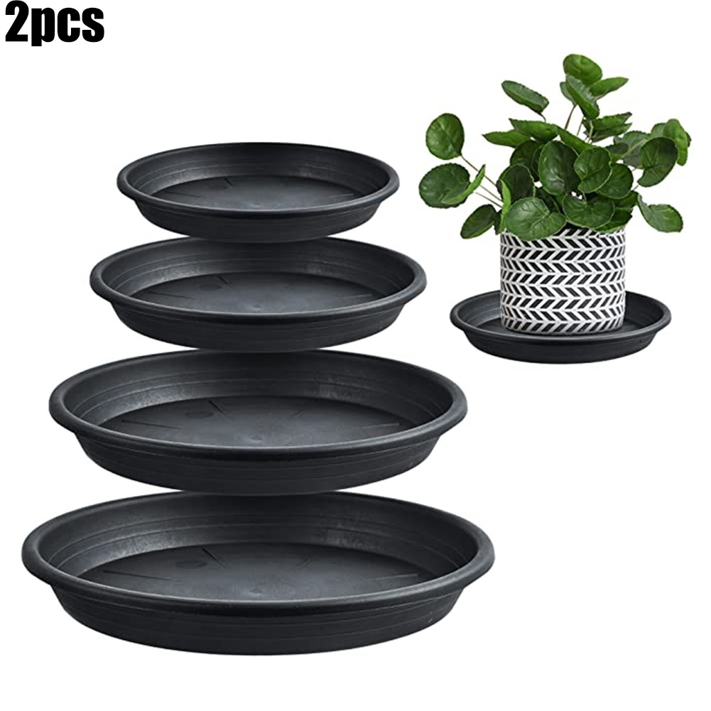 Echeveria Succulent - 2pcs Plant Trays Round Succulent Plant