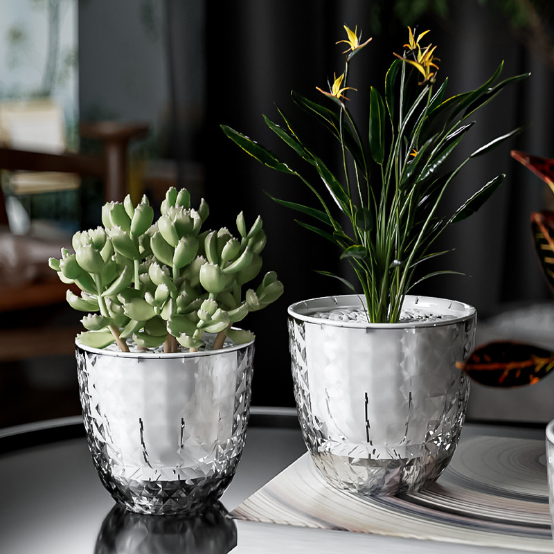 Transparent Plastic Lazy Plant - đánh giá và giá Aloe Vera Pot