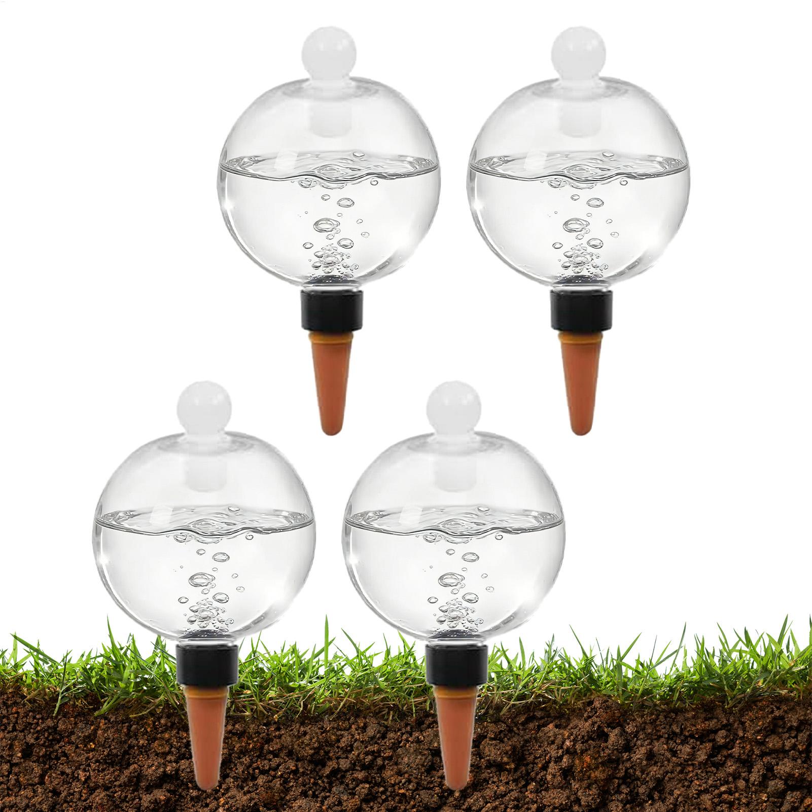 Plant Watering Bulbs 4pcs 500m - đánh giá và giá Echeveria Succulent