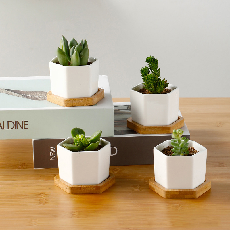 Ceramic Flowerpot White Hexago - đánh giá và giá Aloe Vera Pot