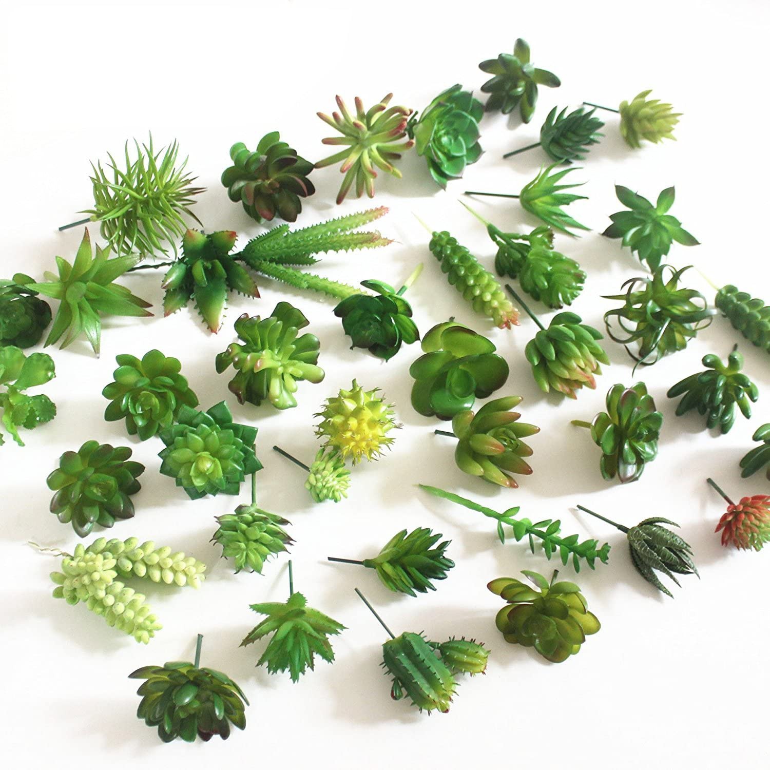 15pcs Artificial Succulent Pla - đánh giá và giá Echeveria Succulent