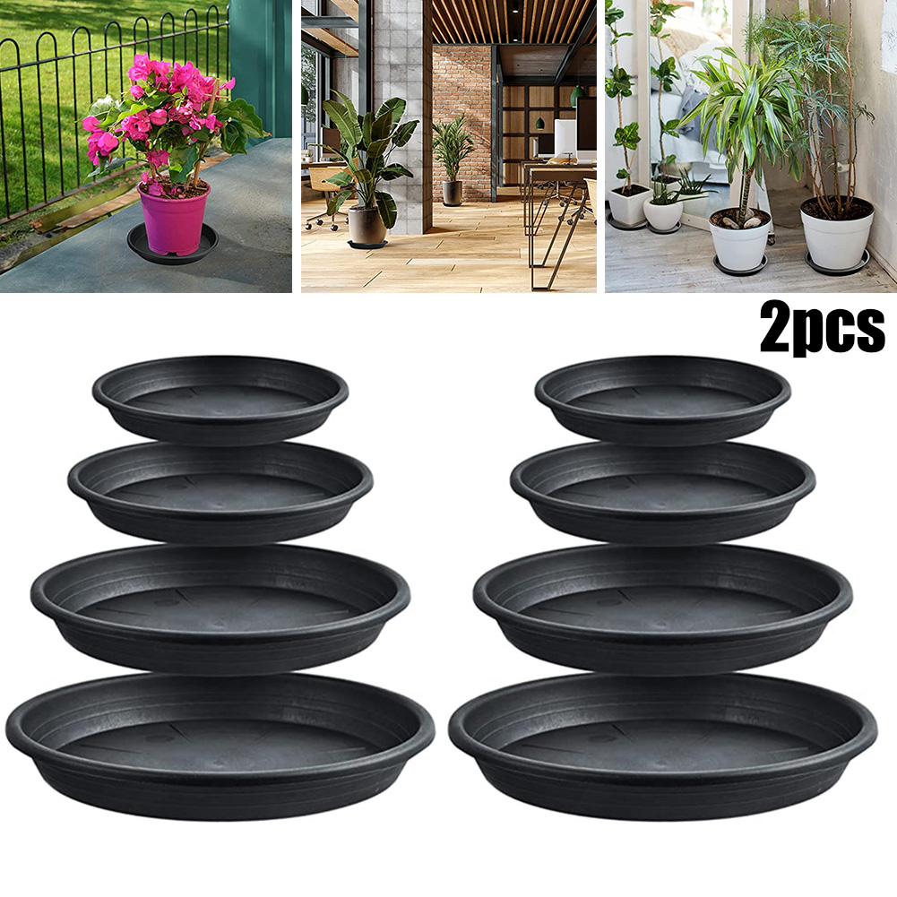 2pcs Plant Trays Round Succule - đánh giá và giá Echeveria Succulent