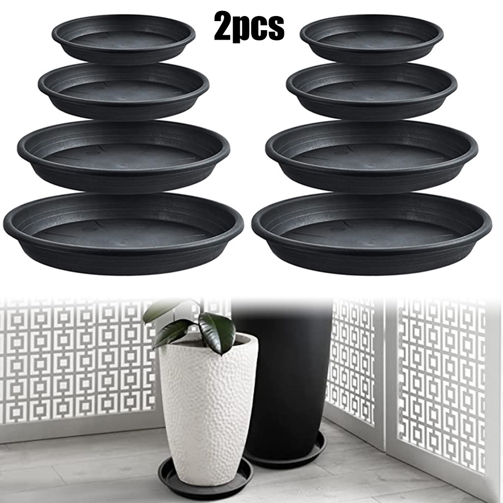 2pcs Plant Trays Round Succule - đánh giá và giá Echeveria Succulent
