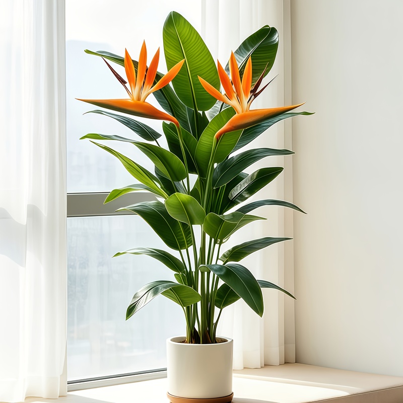 Lifelike Artificial Banana Lea - đánh giá và giá Dracaena Marginata