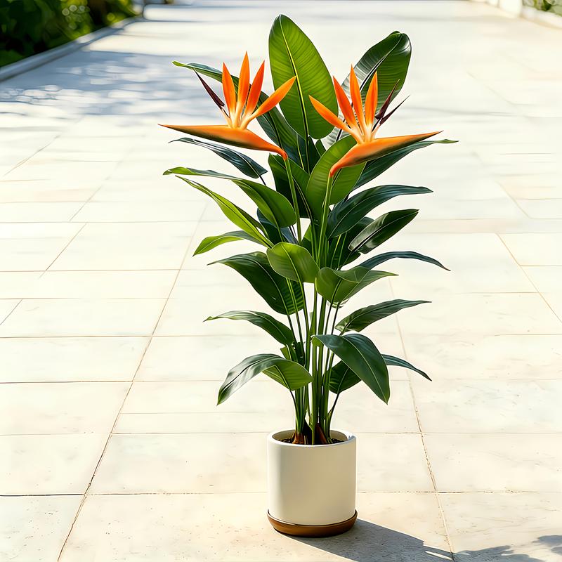 Lifelike Artificial Banana Lea - đánh giá và giá Dracaena Marginata