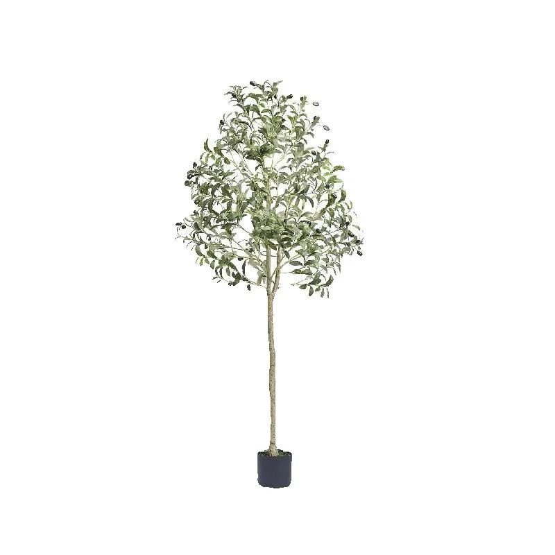 SucceBuy Artificial Olive Tree - đánh giá và giá Dracaena Marginata