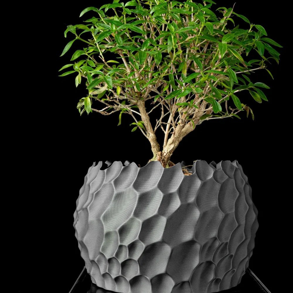 Textured Flower Pot Irregular  - đánh giá và giá Aloe Vera Pot
