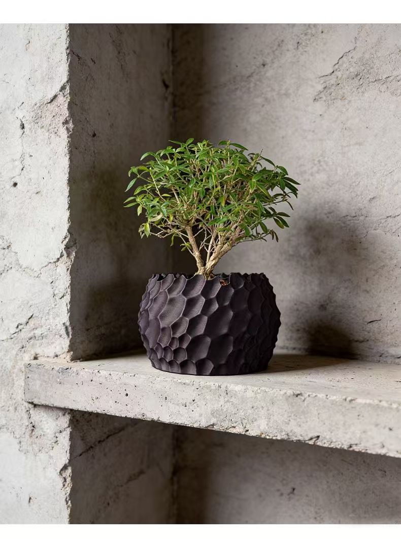 Textured Flower Pot Irregular  - đánh giá và giá Aloe Vera Pot